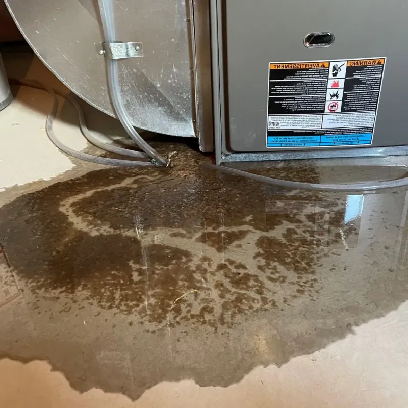Pipe Burst and Leak Restoration in Sturgis, KY