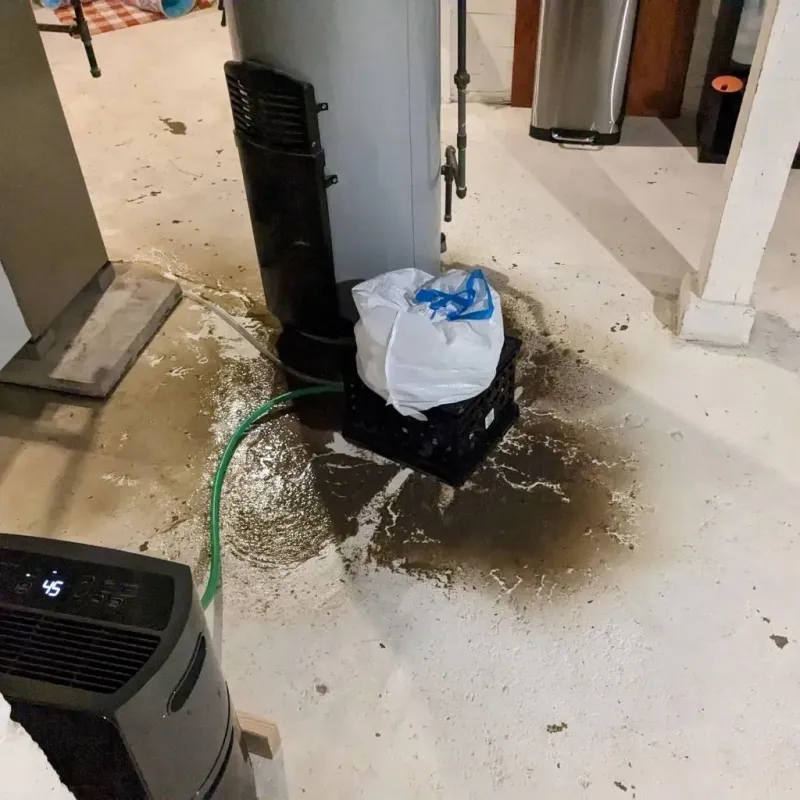 Sewage Backup Cleanup Service in Sturgis, KY